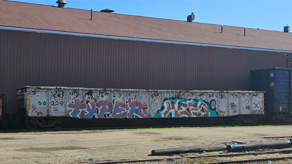 CR 56229